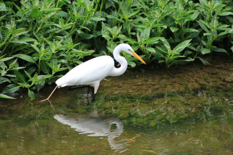 Águas de Nova Friburgo completa 17 anos de atuação no município