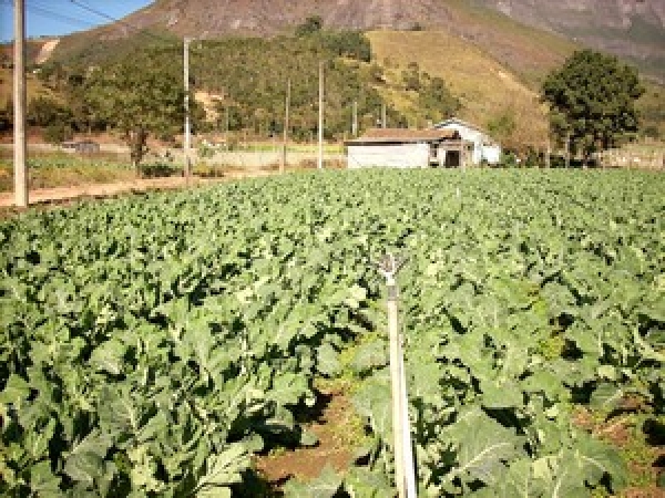 Agricultura de Nova Friburgo realiza plantões para apoio na emissão da Declan