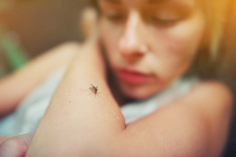 Rio de Janeiro confirma primeira morte por dengue em 2025