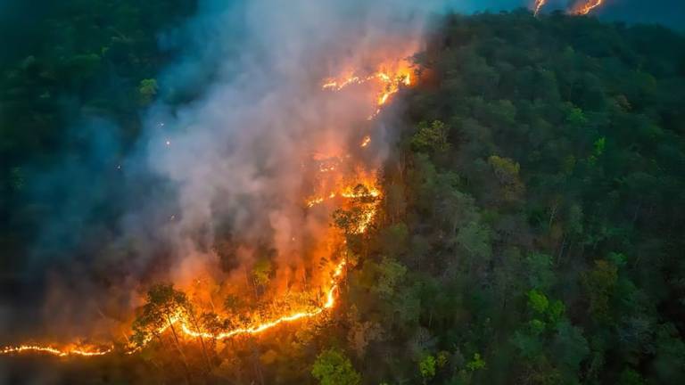 Defesa Civil de Nova Friburgo promove audiência e apresenta o Plano de Inverno