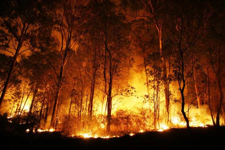 Bombeiros do Rio combatem 560 ocorrências de fogo em vegetação em dois dias