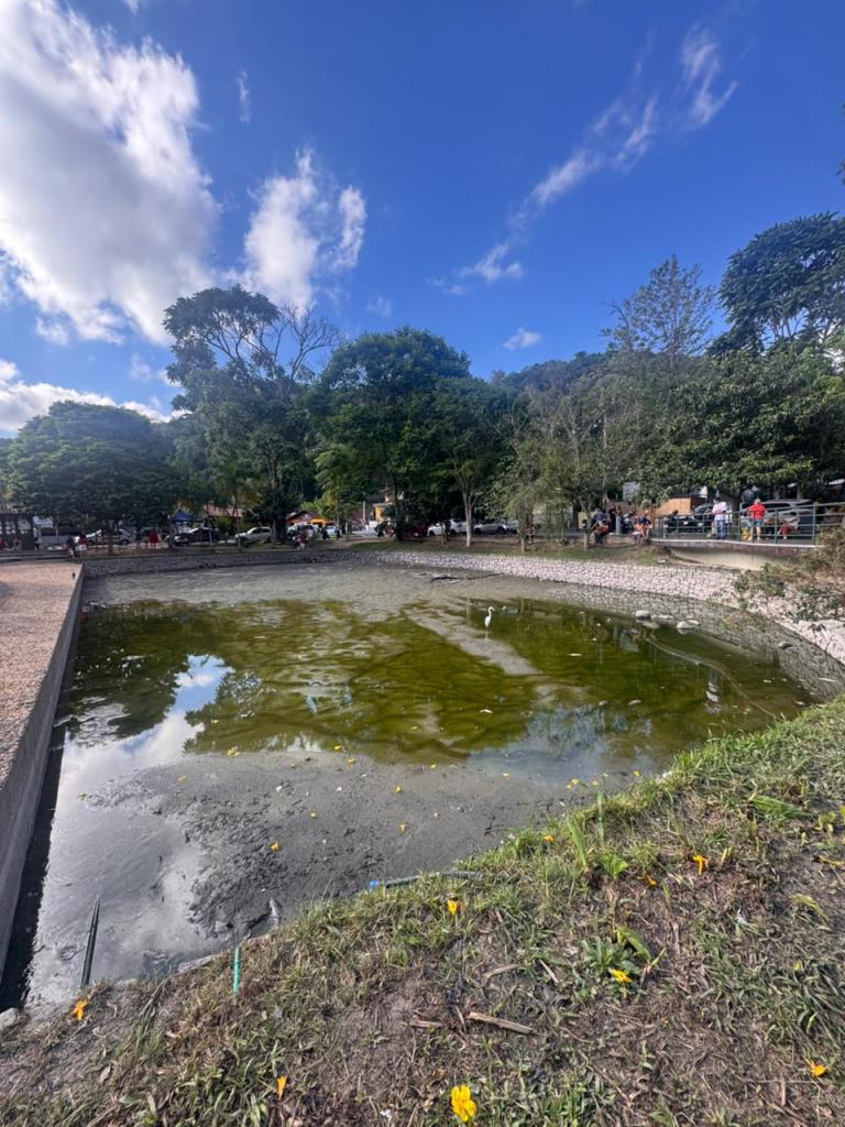 Após morte de peixes, Prefeitura irá revitalizar lago de Lumiar