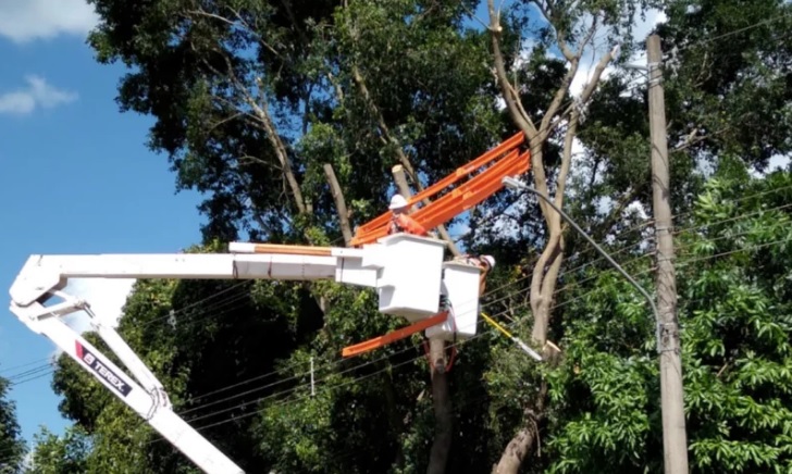 Nova Friburgo é a mais afetada com cortes de energia por galhos na rede elétrica