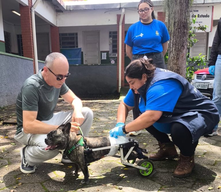 Campanha de Vacinação Antirrábica vacina quase 7 mil em Nova Friburgo