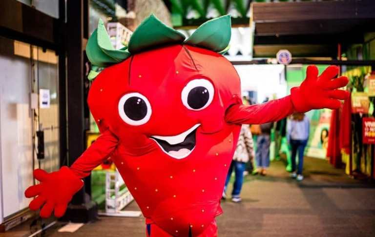 Festa do Morango com Chocolate começa amanhã com atração nacional