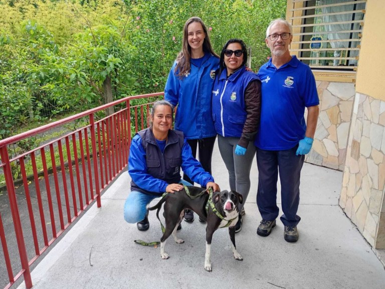 Campanha de Vacinação Antirrábica imuniza quase 4 mil animais em Nova Friburgo