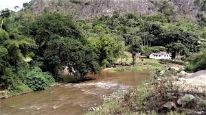 MP denuncia corrupção no INEA que causou danos ambientais na Serra do Rio