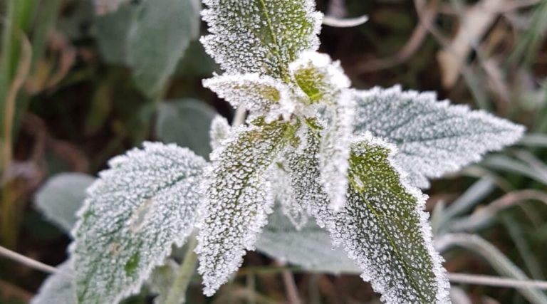 Tempo: fim de semana será de temperaturas abaixo de 7ºC