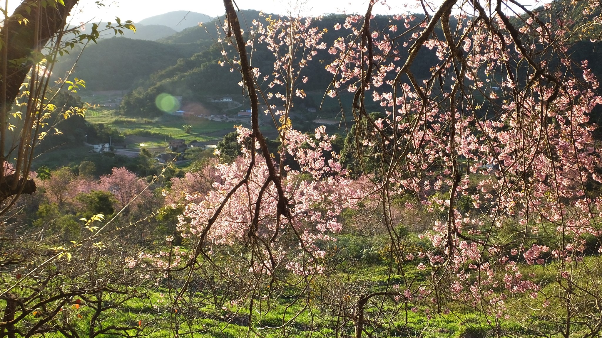 Tempo: fim de semana será com temperaturas amenas no RJ