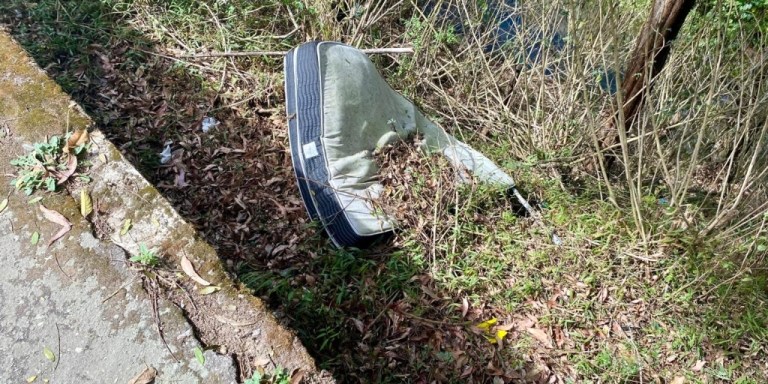 Descarte irregular de lixo e entulho passa a ter multa alta em Nova Friburgo