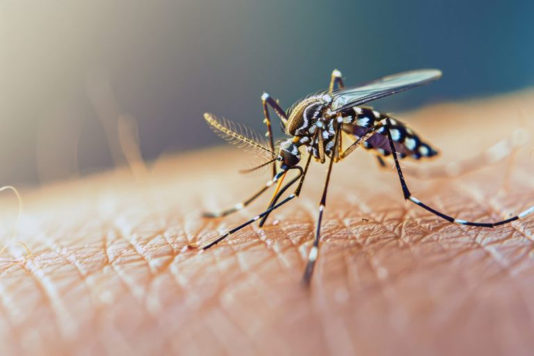 Sudeste concentra 73% do número de casos prováveis de dengue em 2025