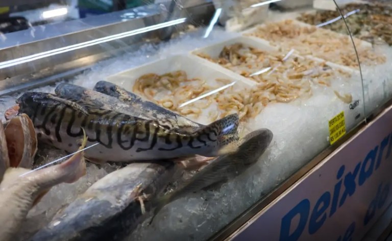 Vigilância Sanitária orienta sobre compra de pescado na Semana Santa