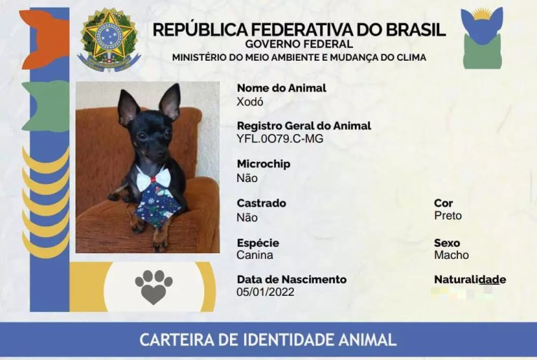 Mais de 620 mil animais já têm RG no Sistema Nacional de Cadastro