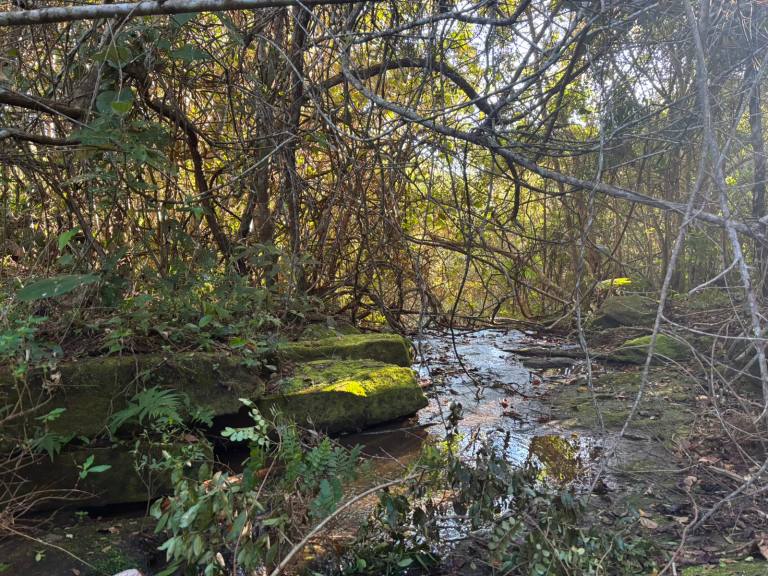 Projeto da Águas de Nova Friburgo revitaliza Córrego Estrela