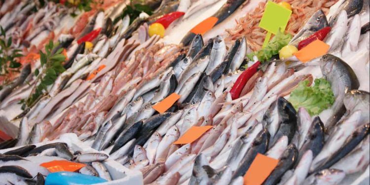 Consumo de pescado cresce mais de 50% na última década no Brasil