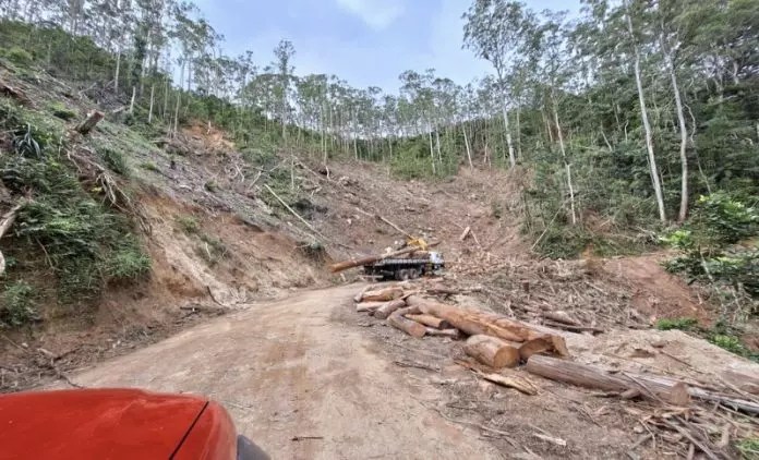 Friburgo é a segunda cidade do RJ com mais crimes contra o ambiente