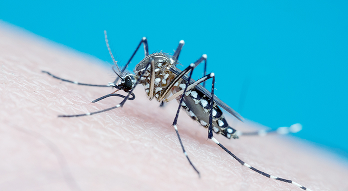 Rio terá programa de controle sustentável do Aedes Aegypti