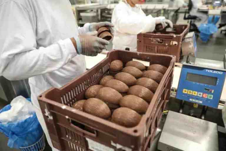 Páscoa pode ter ovos menores para compensar aumento dos custos