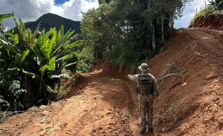 UPAM flagra estrada clandestina em São Pedro da Serra