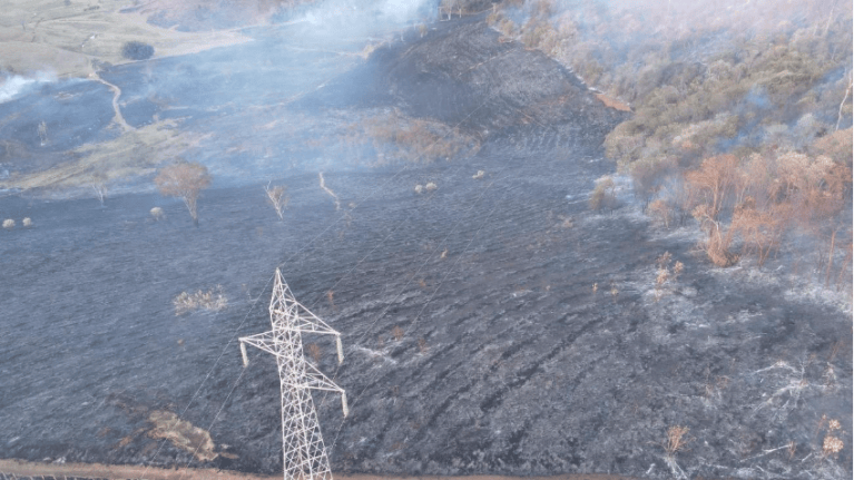 Impacto de queimadas na rede elétrica é sete vezes maior que em todo 2025