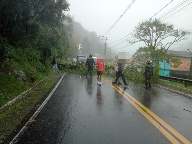Força-tarefa recolhe galhos e materiais após ventania em Nova Friburgo