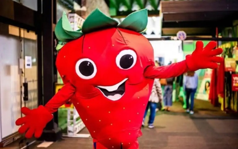 Festa do Morango com Chocolate terá inicio amanhã em Nova Friburgo