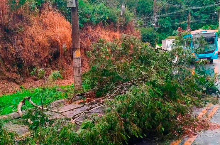 Chuva forte provoca transtornos em Nova Friburgo