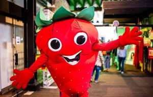 Festa do Morango com Chocolate fecha edição com mais de 45 mil visitantes — imagem 2