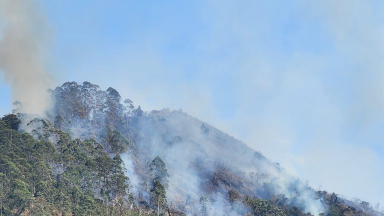 MPRJ pede informações sobre incêndios em Nova Friburgo