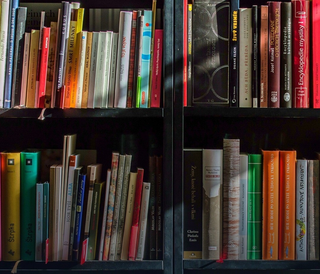 Biblioteca virtual oferece livros digitais gratuitos em Nova Friburgo